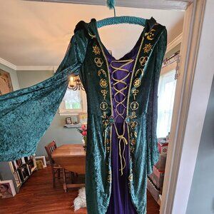 Spirit Halloween Disney Hocus Pocus Dress